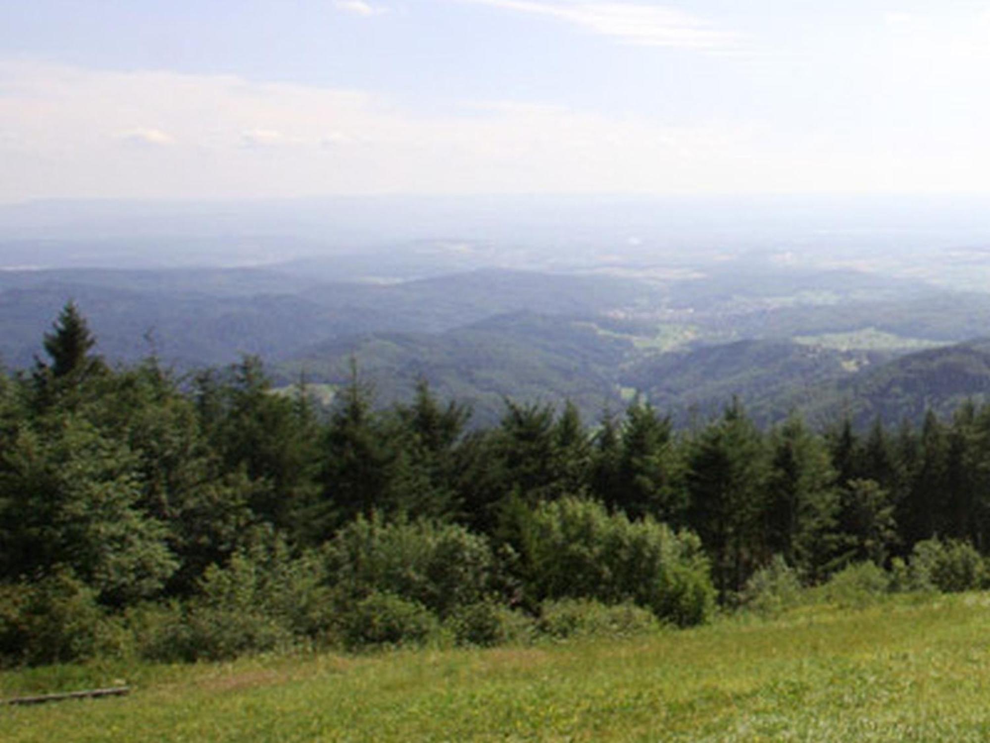 Apartament Haus Burgblick Badenweiler Zewnętrze zdjęcie